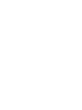 Digital Records & Document Management
